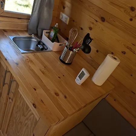 Sonnenblume * Holtgast