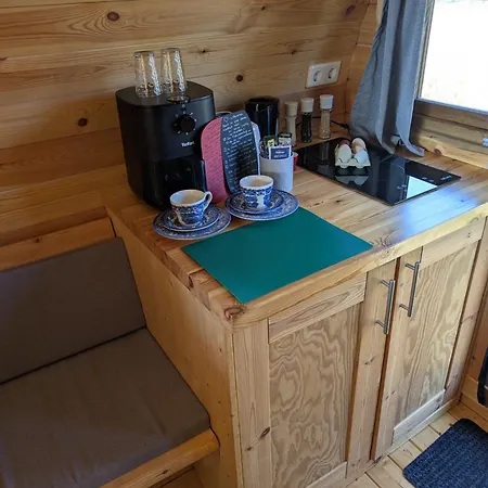 Sonnenblume * Holtgast