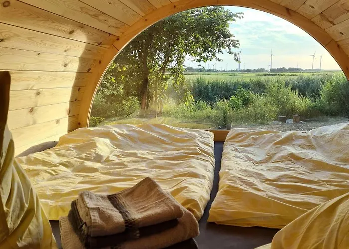 Sonnenblume Holtgast