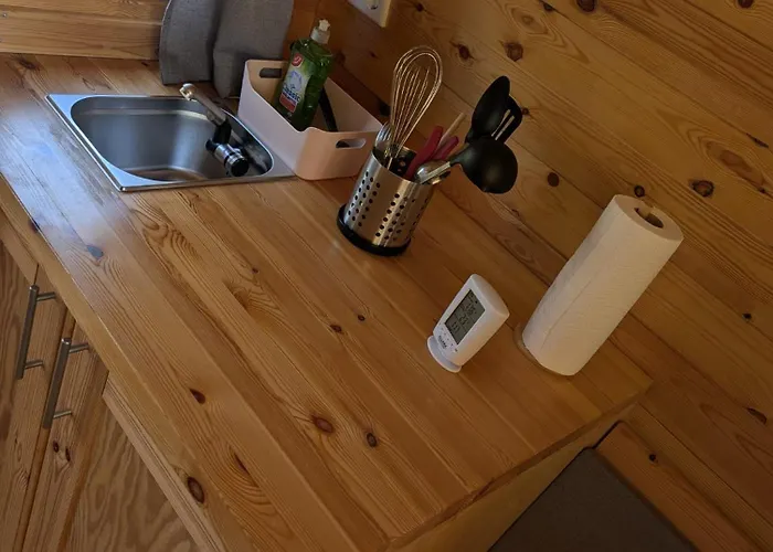 Sonnenblume * Holtgast