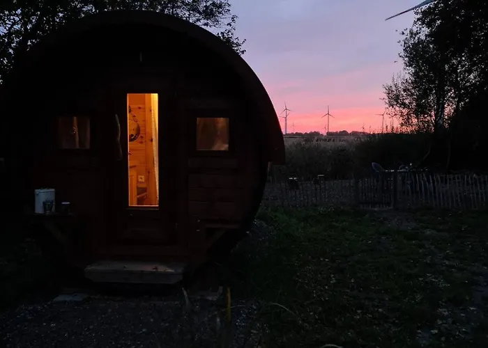 Sonnenblume * Holtgast