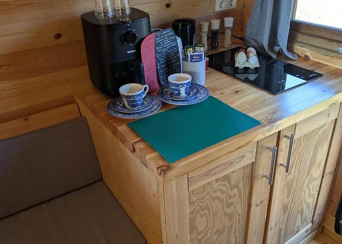 Sonnenblume * Holtgast